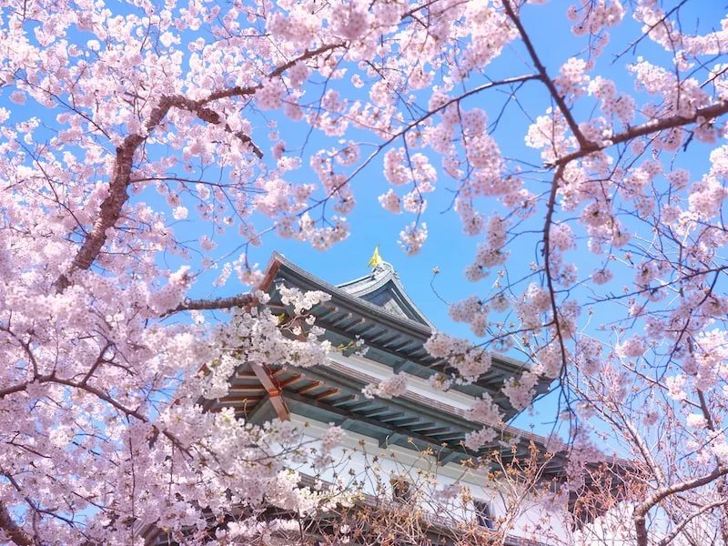 🏯 마쓰마에 성터(마쓰마에조아토) 이미지 8